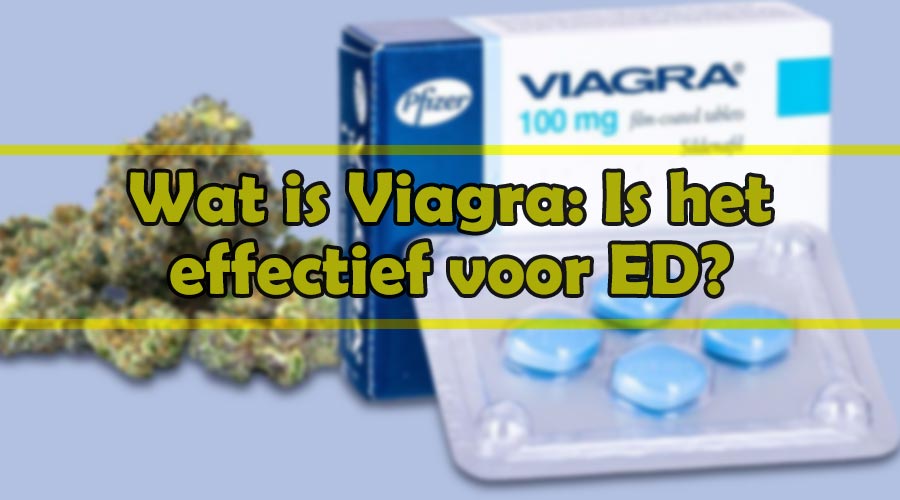 Wat is Viagra: Is het effectief voor ED?